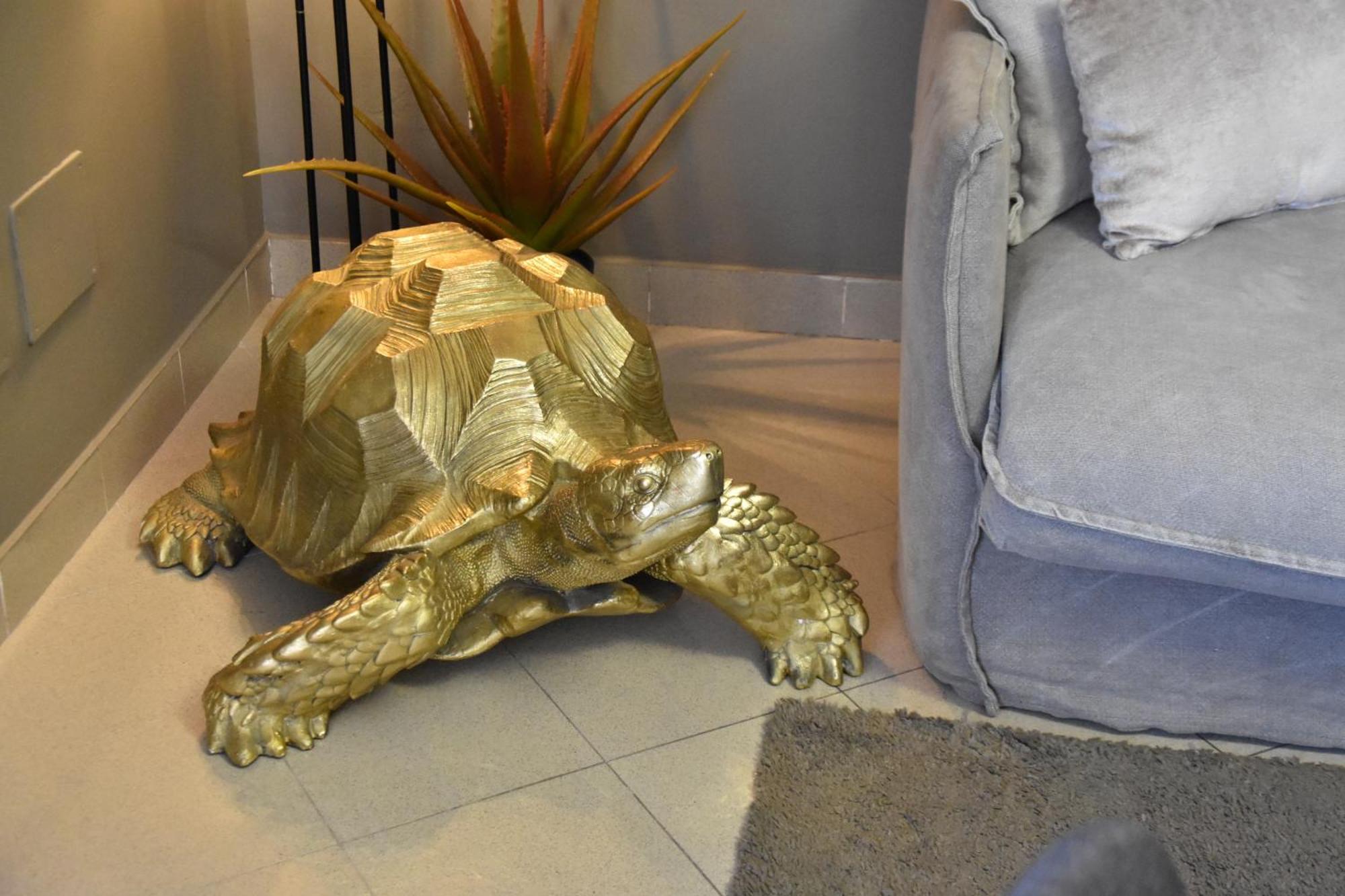 Diasof Apartments Rome Bagian luar foto